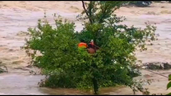 Fishermen stranded on swollen river island in Jhansi. (HT PHOTO)