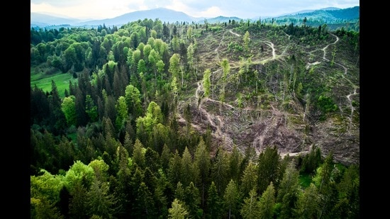 Are we devouring the planet?