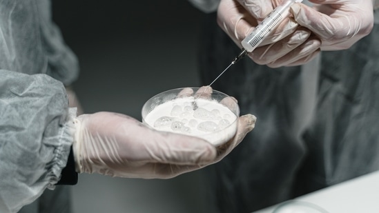 Planning to freeze your eggs? Here’s what expert says about long-term effects
