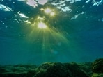 Underwater (Photo by Ibrahim CHALHOUB / AFP)(AFP)
