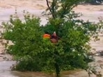 Fishermen stranded on swollen river island in Jhansi. (HT PHOTO)