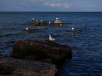 Birds rest on rocks in Lake Ontario after U.S. President Donald Trump signed an executive order renaming Lake Ontario as Lake America, a change he said would take effect immediately, in Hamilton, Ontario, Canada.(REUTERS)
