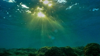 Underwater (Photo by Ibrahim CHALHOUB / AFP) (AFP)