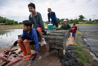 Today, refugee crises, from Myanmar to Ukraine, continue to test the resilience of the framework. Is the world ready to renew the commitment that gave birth to the Convention? (AFP) Today, refugee crises, from Myanmar to Ukraine, continue to test the resilience of the framework. Is the world ready to renew the commitment that gave birth to the Convention? (AFP)