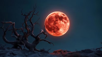 A near-total lunar eclipse is set to occur on Thursday night, visible across North and South America. A near-total lunar eclipse is set to occur on Thursday night, visible across North and South America.