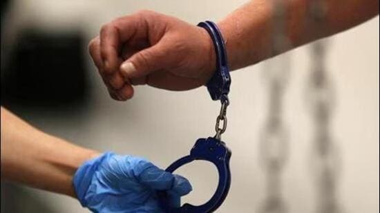 Angered by this, Lingamurthy allegedly took a gun and fired at the dog (Representative photo)