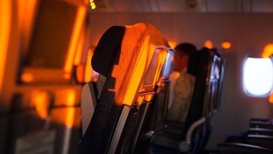 Flight