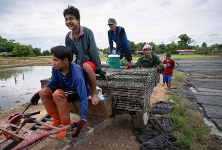 Today, refugee crises, from Myanmar to Ukraine, continue to test the resilience of the framework. Is the world ready to renew the commitment that gave birth to the Convention? (AFP)