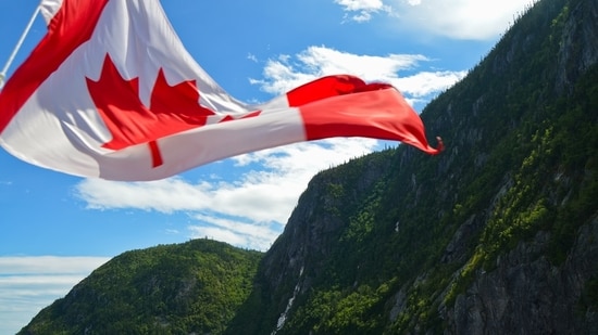 Canada steps up search for skilled workers in key sectors: What it means for Indian applicants (Unsplash)