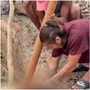 వైరల్​ వీడియోలోని దృశ్యాలు..