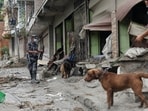 Armed Police Force officials with sniffer dogs look for survivors at the site of flash floods and mudslides, in Devighat, Nuwakot district, Nepal. 