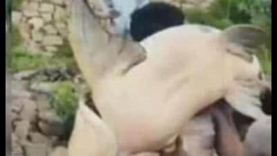 A live fish weighing around 60 kg was caught in the swollen Narayani river near Hanuman Ganj Thokar in Kushinagar’s Khadda area. (Sourced) A live fish weighing around 60 kg was caught in the swollen Narayani river near Hanuman Ganj Thokar in Kushinagar’s Khadda area. (Sourced)