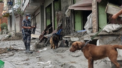 Armed Police Force officials with sniffer dogs look for survivors at the site of flash floods and mudslides, in Devighat, Nuwakot district, Nepal. (Reuters)