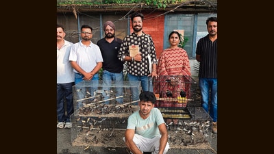 The Pathankot wildlife department carried out the operation after being alerted by environmentalist and wildlife rescuer Sahil Sharma. (HT)