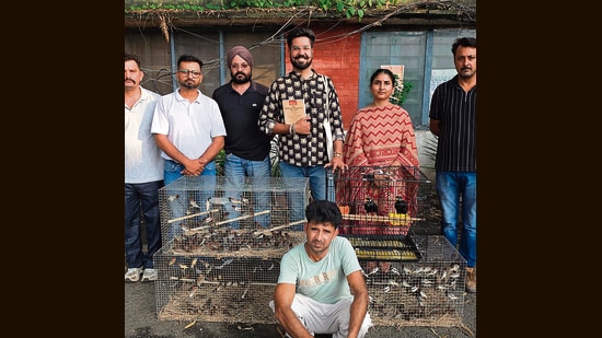 The Pathankot wildlife department carried out the operation after being alerted by environmentalist and wildlife rescuer Sahil Sharma. (HT)
