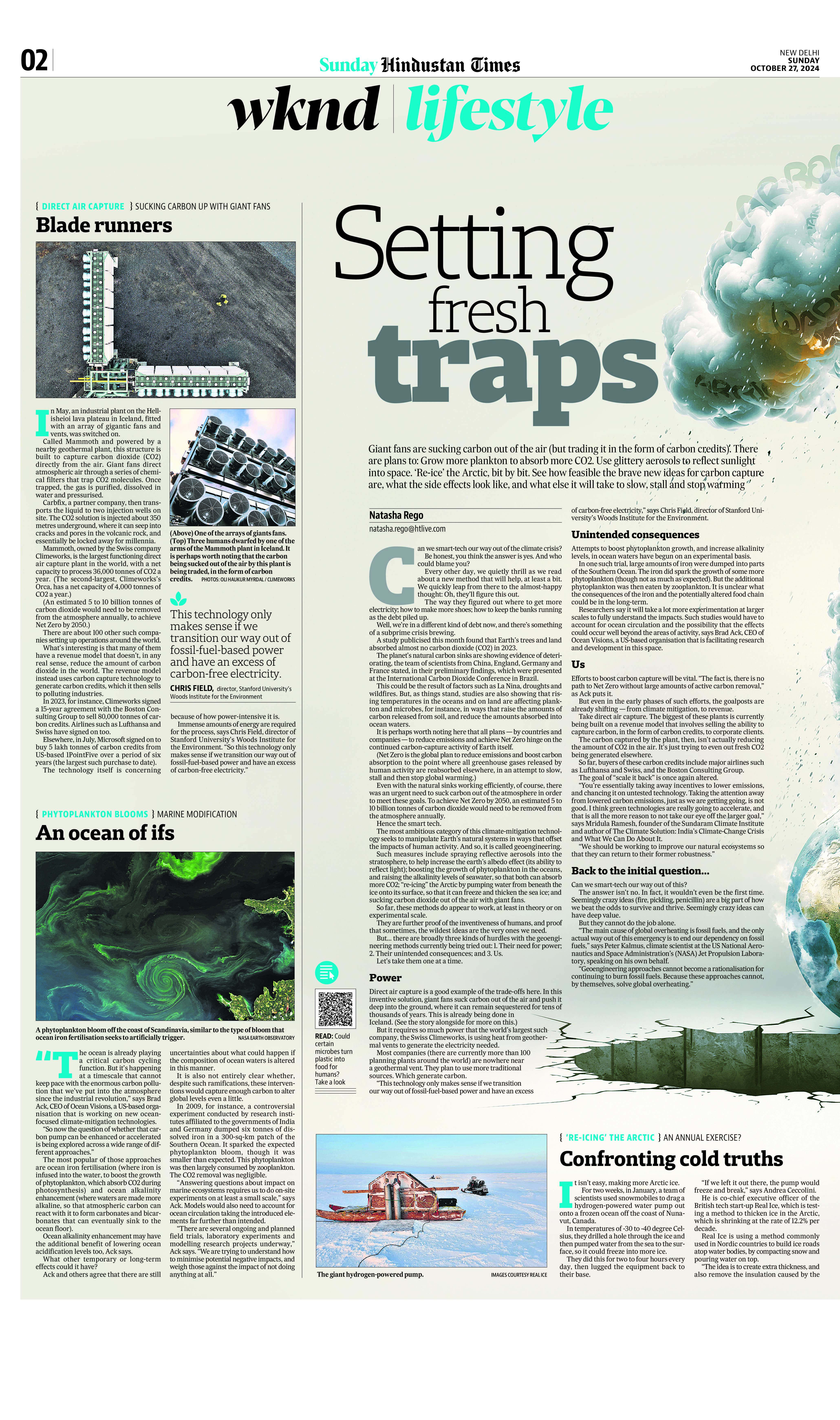 'Setting fresh traps' by Natasha Rego (HT) 'Setting fresh traps' by Natasha Rego (HT)