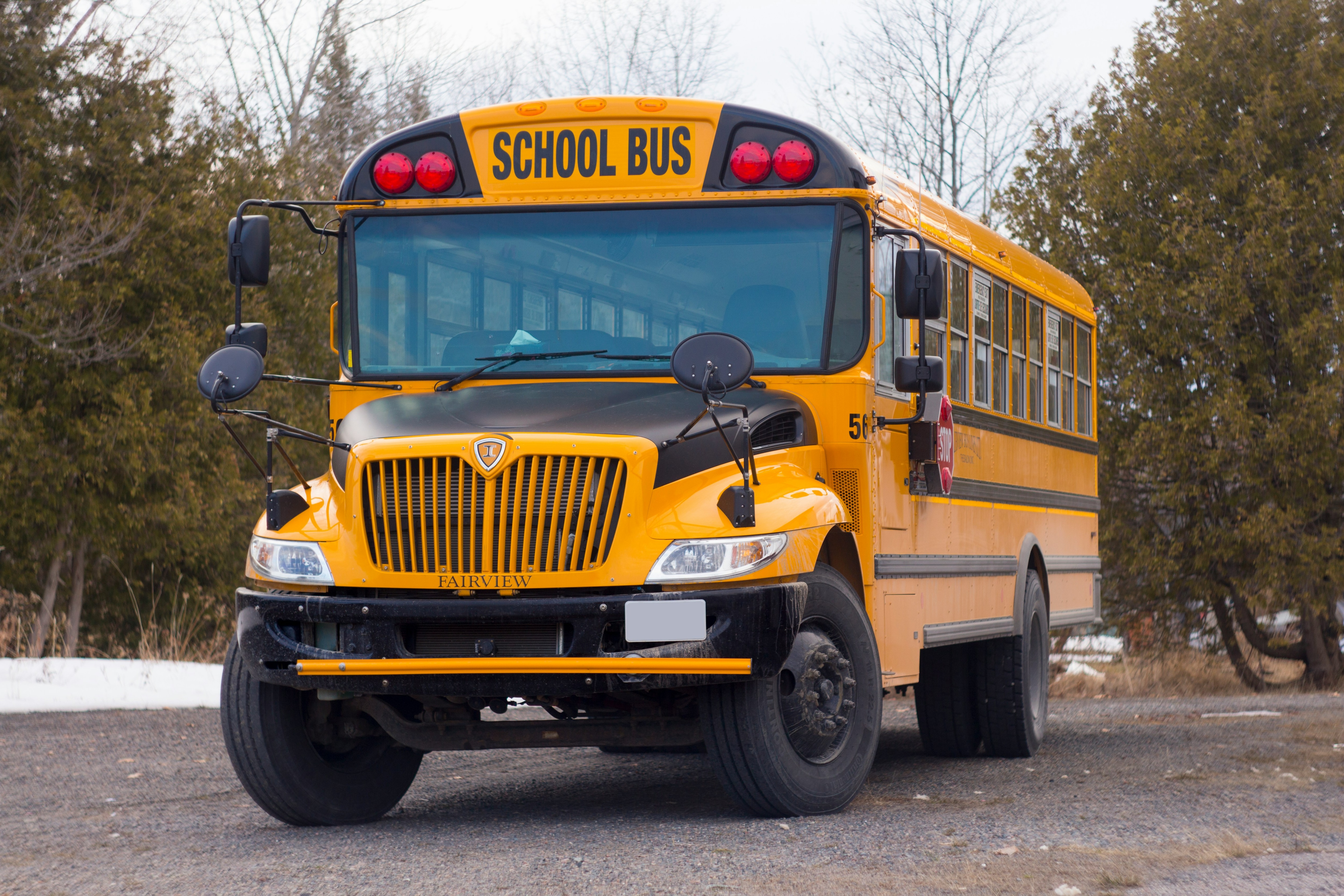 The bright yellow of school buses, established in 1939 for visibility, helps motorists quickly recognize these vehicles. (Unsplash)