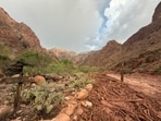 Bright Angel Creek near the Phantom Ranger Station in the Grand Canyon, Arizona, is seen after flash flooding from storms.