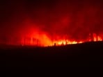 Railroad South Fire: Large wildfire near Indiahoma, Oklahoma destroys buildings; check map as scary visuals emerge(Pexel - representational image)