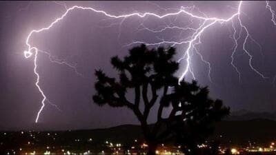 Lightning struck Gurupadgiri Hill in Bihar’s Gaya during Raksha Bandhan, killing one devotee. Lightning struck Gurupadgiri Hill in Bihar’s Gaya during Raksha Bandhan, killing one devotee.