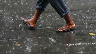 ভাদ্রের ভ্যাপসা গরমের মাঝে বৃষ্টি ভিজতে পারে বাংলার বহু এলাকা! রইল পূর্বাভাস। (ছবি সৌজন্যে পিটিআই) ভাদ্রের ভ্যাপসা গরমের মাঝে বৃষ্টি ভিজতে পারে বাংলার বহু এলাকা! রইল পূর্বাভাস। (ছবি সৌজন্যে পিটিআই)