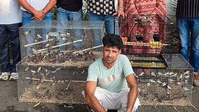 The Pathankot wildlife department carried out the operation after being alerted by environmentalist and wildlife rescuer Sahil Sharma. (HT) The Pathankot wildlife department carried out the operation after being alerted by environmentalist and wildlife rescuer Sahil Sharma. (HT)
