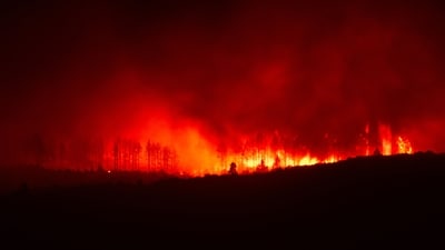 Railroad South Fire: Large wildfire near Indiahoma, Oklahoma destroys buildings; check map as scary visuals emerge (Pexel - representational image) Railroad South Fire: Large wildfire near Indiahoma, Oklahoma destroys buildings; check map as scary visuals emerge (Pexel - representational image)