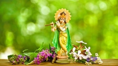 శ్రీకృష్ణ జన్మాష్టమి శ్రీకృష్ణ జన్మాష్టమి