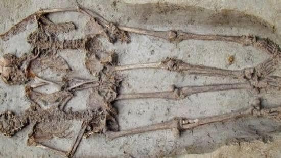 The skeleton was spotted by sanitation workers while they were carrying out cleaning work in the area. (HT Representative photo)