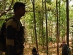 Jharkhand’s West Singhbhum was declared Maoist-free in August. (HT PHOTO/Representative)