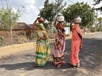 Village mornings unfolded without alarm clocks or mobile phones. We woke to the crowing of roosters, the chirping of sparrows and the lowing of cattle. Nature set the rhythm for the day. Women walked together to the village well or baoli, balancing earthen pitchers on their heads. (AP File)