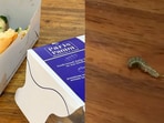 Bengaluru woman shares alleged caterpillar video.