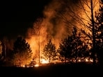 Canadian wildfire smoke can travel vast distances, severely impacting air quality. Michigan reported an AQI of 616 this July, indicating hazardous conditions