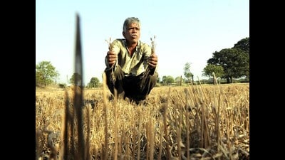 “When the GST Council meets, we want this issue to be taken up as an agenda item,” said Nayak. (Representational/HT Photo)
