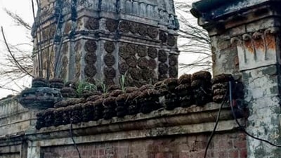 A 100-year-old Hindu temple was reportedly demolished to include its land in a seminary in Pakistan. (PTI) A 100-year-old Hindu temple was reportedly demolished to include its land in a seminary in Pakistan. (PTI)