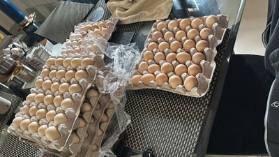 From Amazon layoff to running her own chicken farm. (LinkedIn/Maria Harshitha)