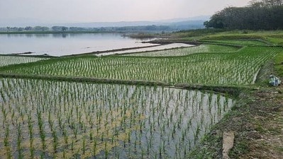 ప్రతీకాత్మక చిత్రం