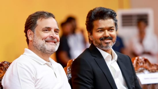 ‘Back Rahul Gandhi or…’: Cong minister’s warning after TVK’s PM push for Vijay