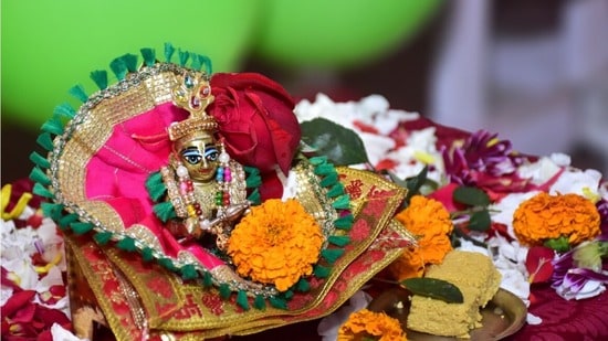 సెప్టెంబర్ 4న బాలగోపాలుడి జన్మోత్సవం.. పూజా విధానం, ఉపవాస నియమాలు తెలుసుకోండి (shutterstock)