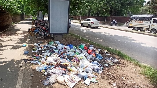 The intervention comes as Delhi continues to grapple with a severe sanitation crisis.