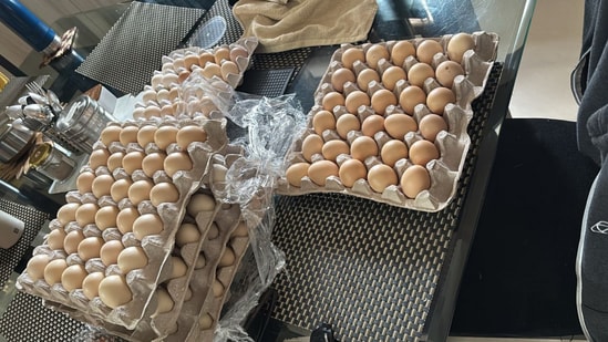 From Amazon layoff to running her own chicken farm.