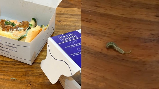 Bengaluru woman shares alleged caterpillar video.