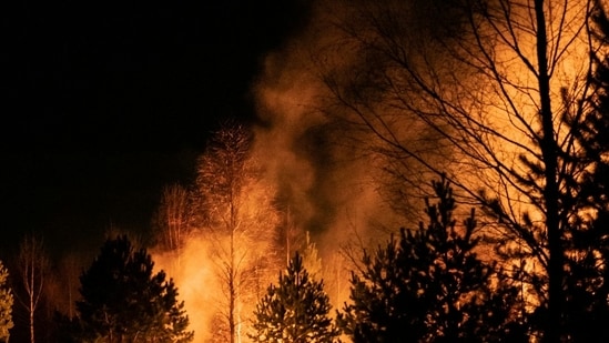 Canadian wildfire smoke can travel vast distances, severely impacting air quality. Michigan reported an AQI of 616 this July, indicating hazardous conditions