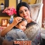 আসছে ‘শাখা প্রশাখা ২’
