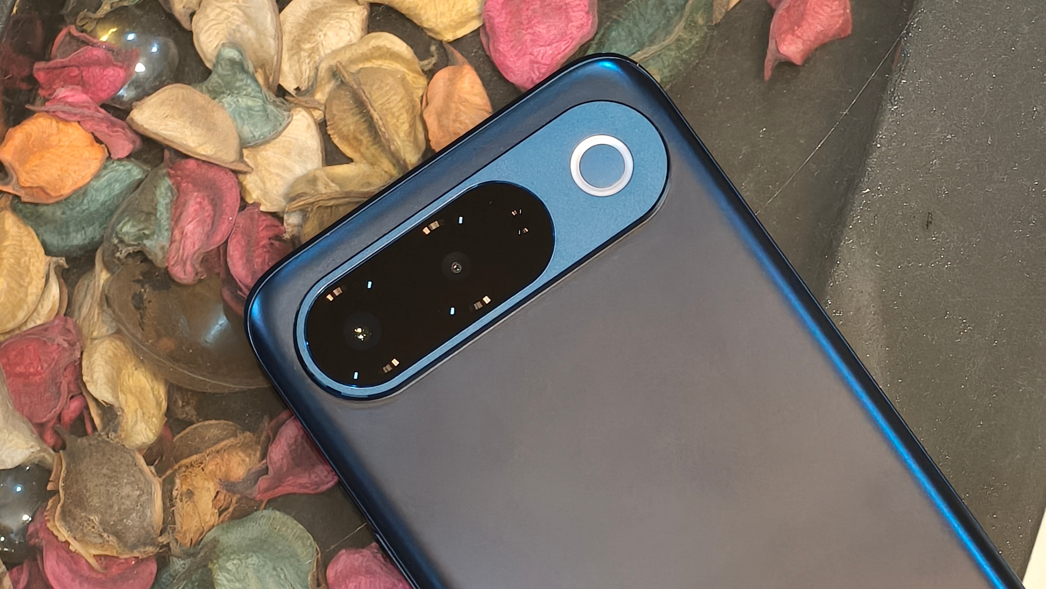 The iQOO Z11 captures pleasing photos with accurate colours and good detail, though its ultra-wide camera slightly trails behind. (Shubh Bhushan - Hindustan Times)