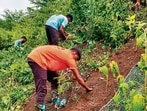 According to railway officials, the Bhor Ghat between Karjat and Lonavla and the Thal Ghat between Kasara and Igatpuri are prone to soil erosion, surface runoff, boulder falls, and shallow landslides during heavy rains. Such incidents can threaten railway infrastructure and train operations. (HT PHOTO)