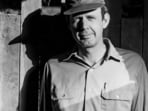The Kentucky farmer-poet Wendell Berry, who championed small farms and criticised industrial agriculture, died at his Port Royal home.