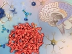 Alzheimer’s disease involves two processes in the brain that unfold over years, often well before symptoms appear. 