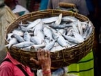 The authorities have advised residents to avoid fish caught from floodwater until conditions stabilise.