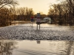 Flash flood warnings hit southern Utah, including Zion National Park; scary visuals emerge